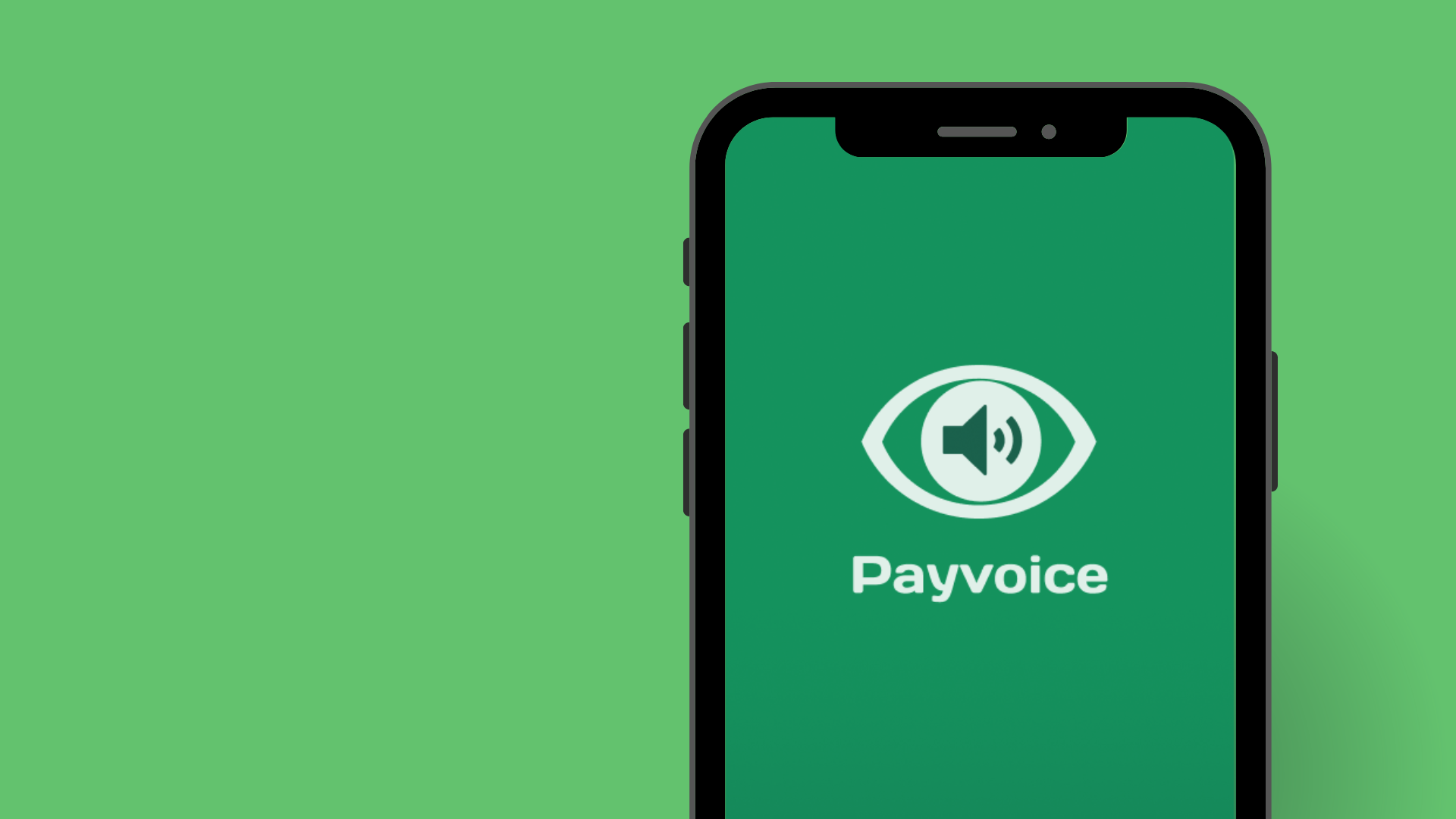 Payvoice case study preview